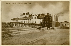 Alameda Sugar Co., near Hayward, Cal. mailed 1912         